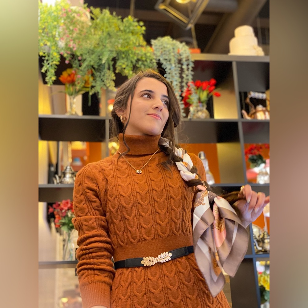 Rust orange sweater dress (turtleneck)
